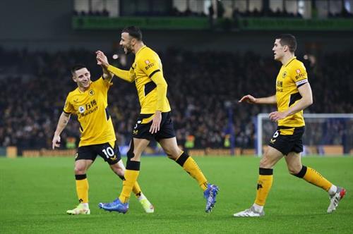 Wolves vs Brighton