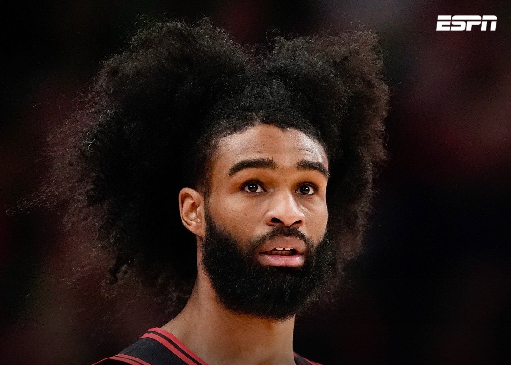 Shams: Coby White sẽ trở lại sân đấu hôm nay với Jazz trong mùa giải đầu tiên của anh ấy