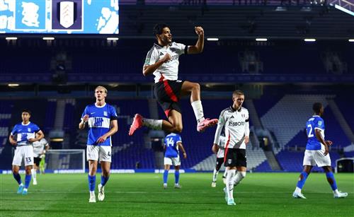 Thành phố Birmingham vs Fulham