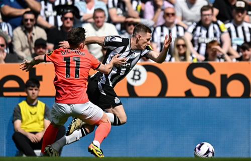 Newcastle United đấu với Brighton