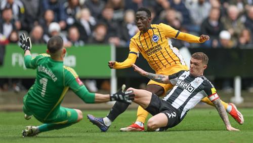 Newcastle United đấu với Brighton