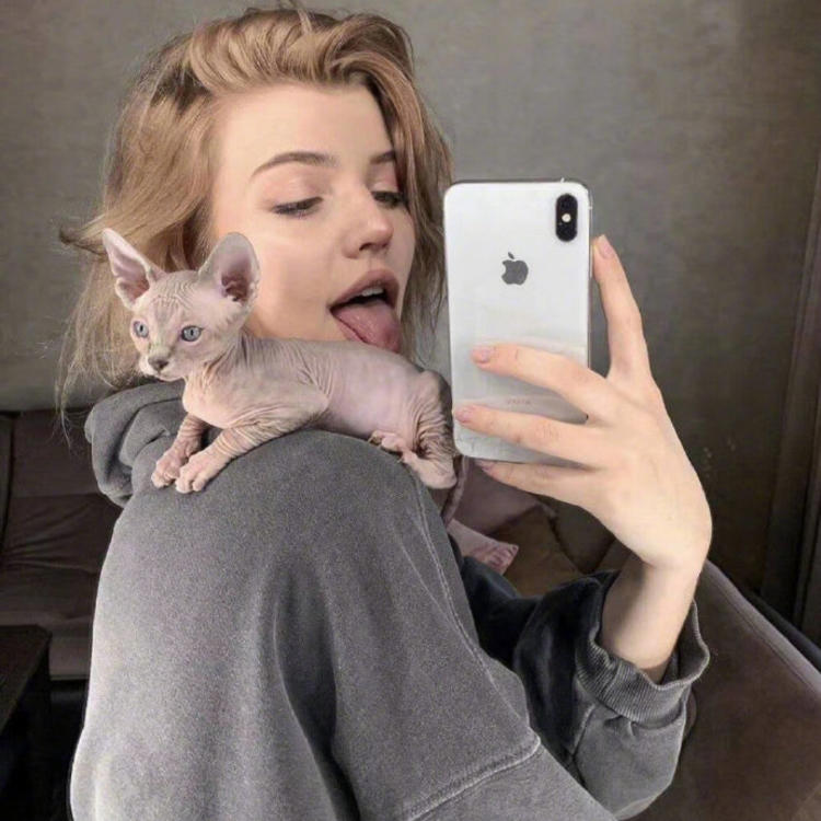 6686体育铁牌作者Tessa