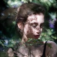 6686体育特邀作者Magnus