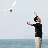 6686体育中级作者Isla